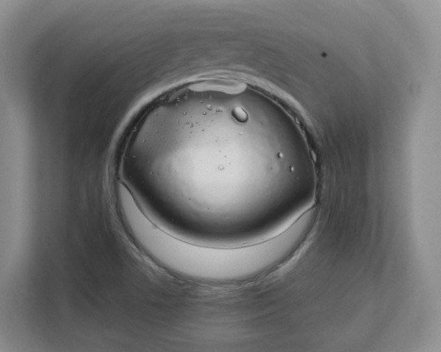 X0000111891506200908061323