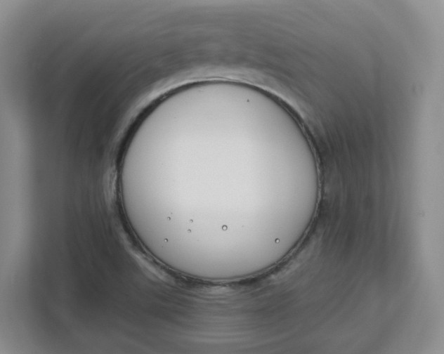 X0000111891507200908061323