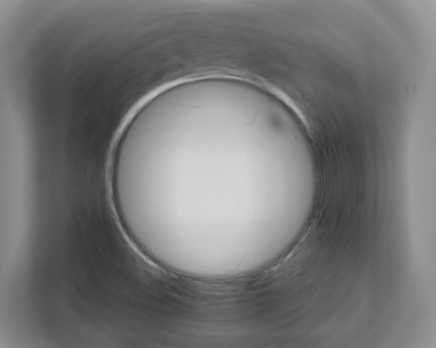 X0000111891508200908061323