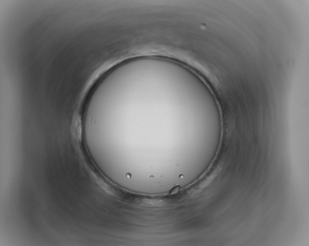 X0000111891509200908061323