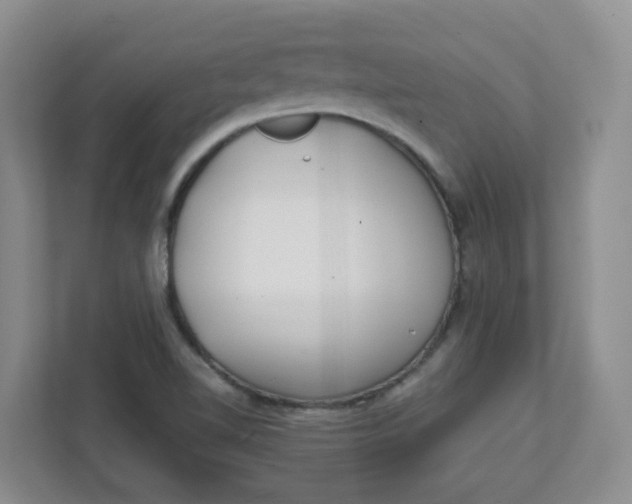 X0000111891510200908061323