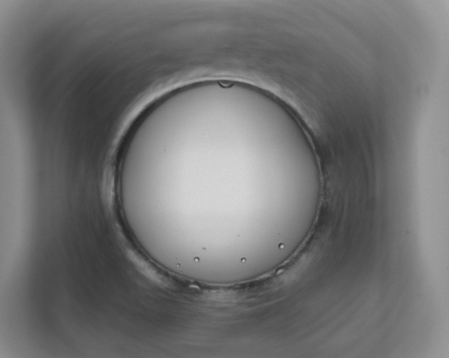 X0000111891511200908061323