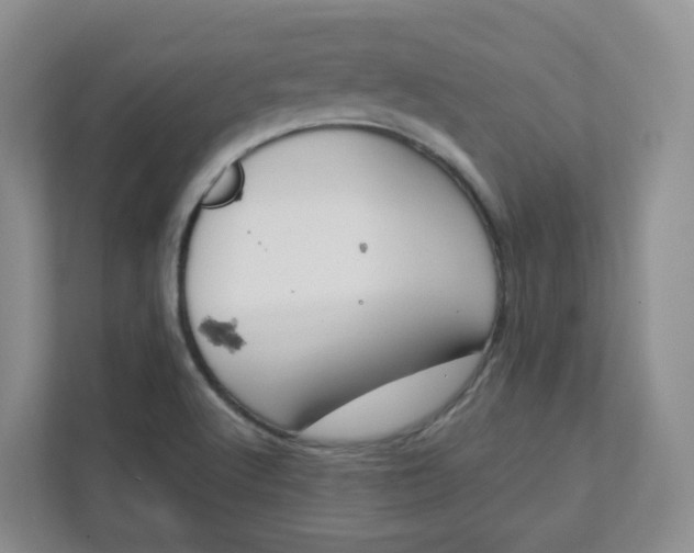 X0000111891512200908061323