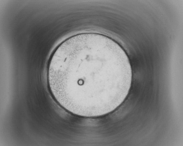 X0000111891514200908061323