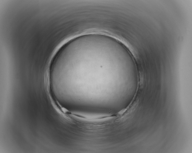 X0000111891515200908061323