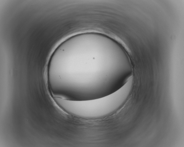 X0000111891516200908061323