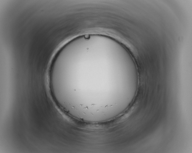 X0000111891517200908061323