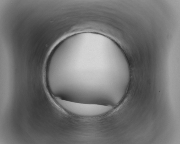 X0000111891518200908061324