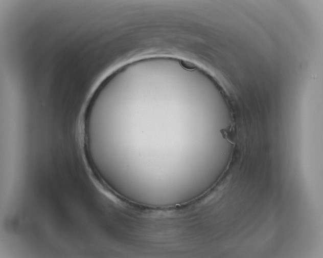 X0000111891519200908061324