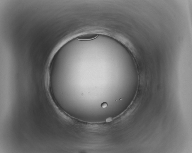 X0000111891520200908061324