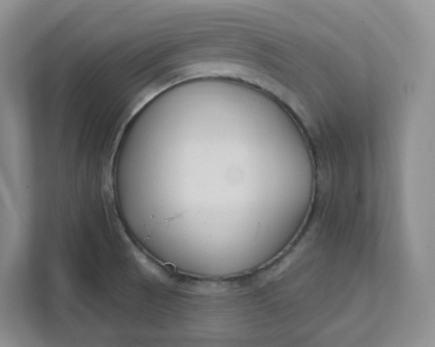 X0000111891521200908061324