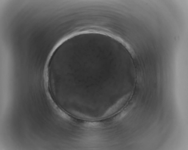 X0000111891522200908061324