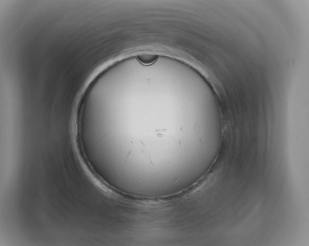 X0000111891523200908061324