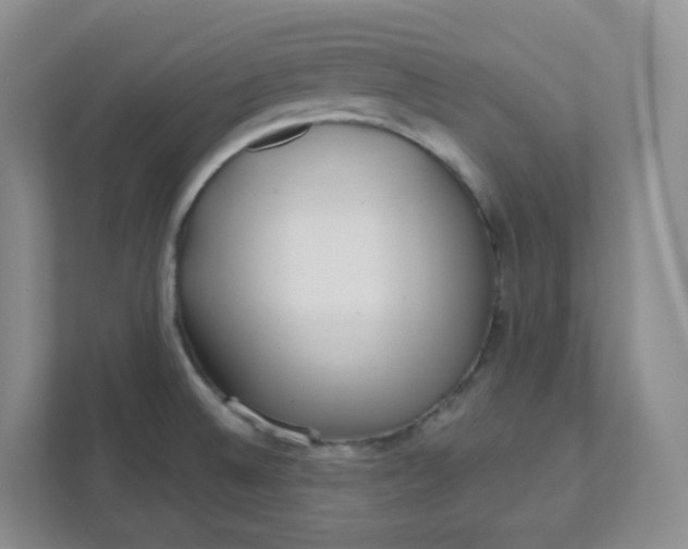 X0000111891524200908061324