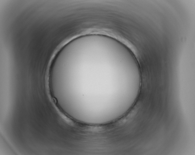 X0000111891525200908061324