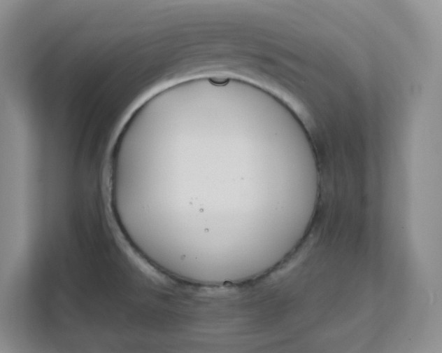 X0000111891526200908061324