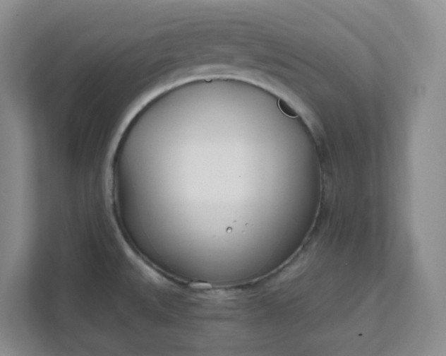 X0000111891527200908061324