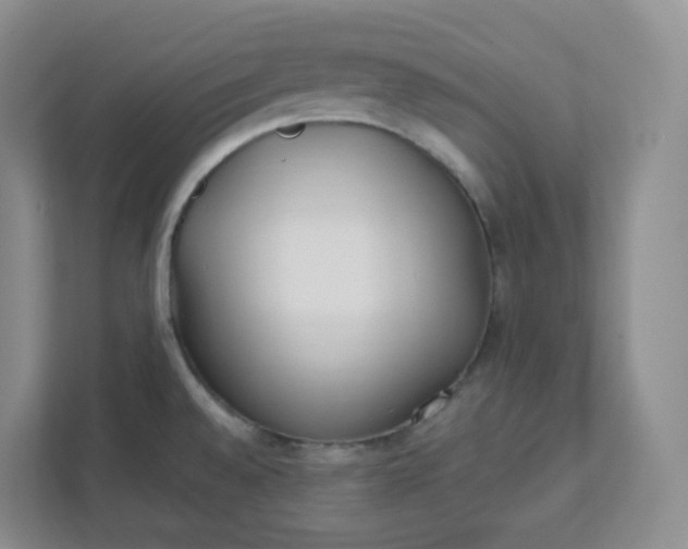 X0000111891528200908061324