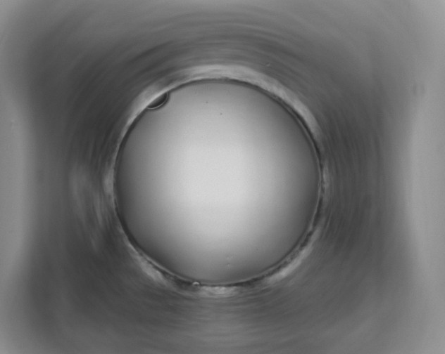 X0000111891529200908061324