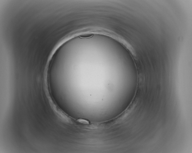 X0000111891530200908061324