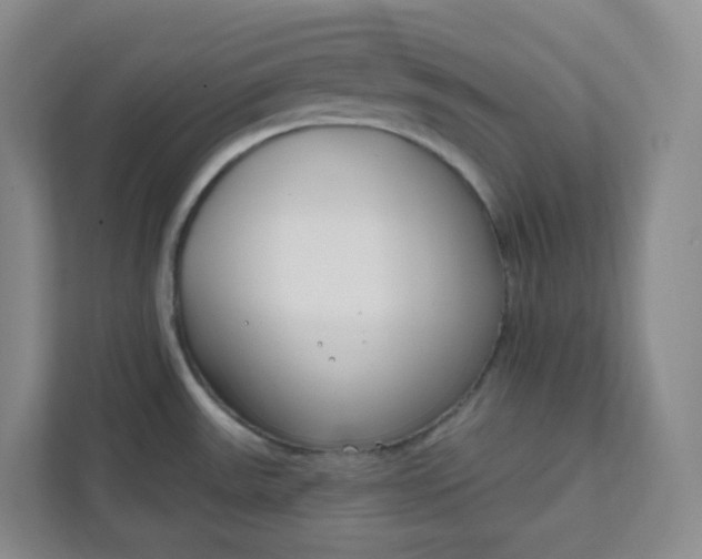 X0000111891531200908061324