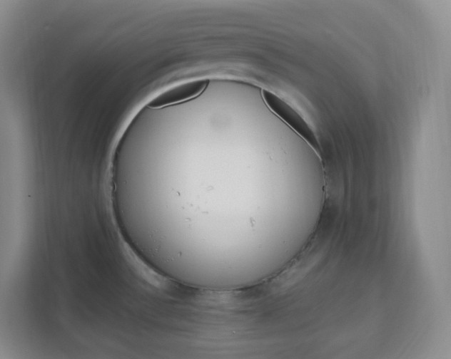 X0000111891532200908061324