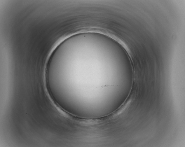 X0000111891533200908061324