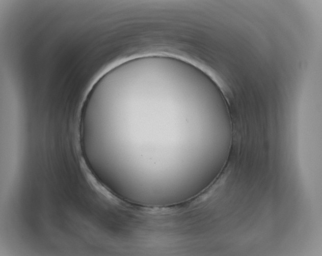 X0000111891534200908061324