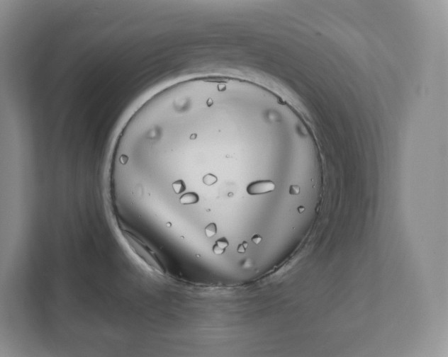 X0000111891536200908061324