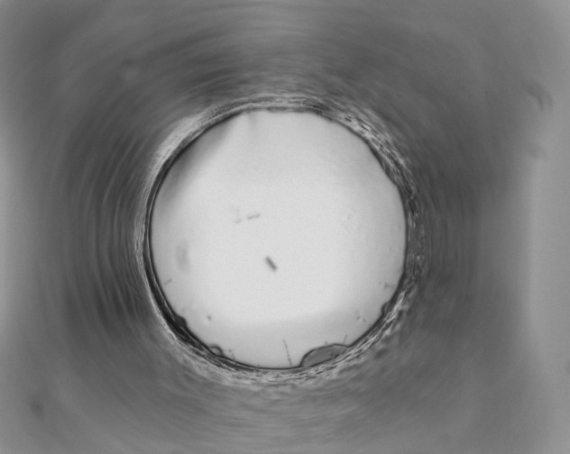 X0000111890003200908131705