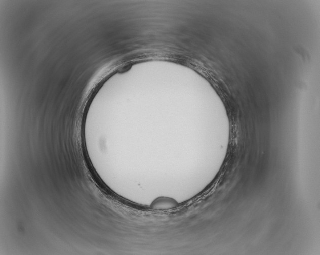 X0000111890004200908131705