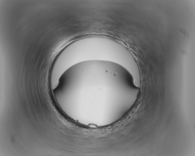 X0000111890005200908131705