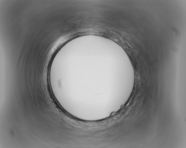 X0000111890006200908131705