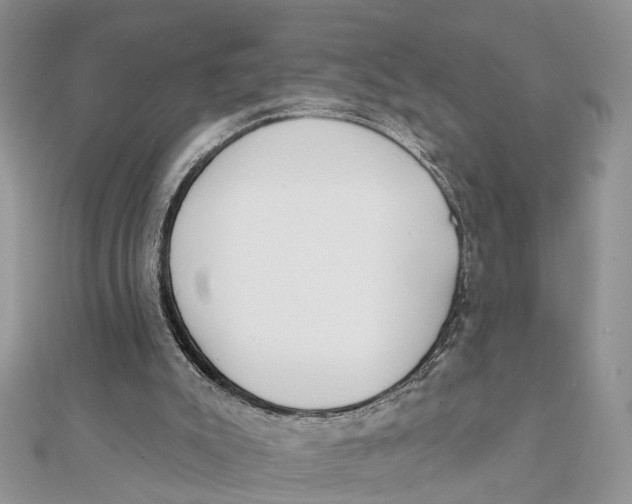 X0000111890007200908131705