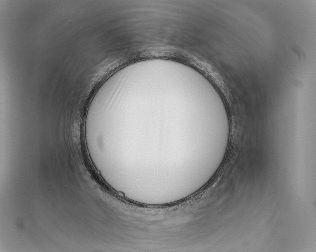 X0000111890010200908131705