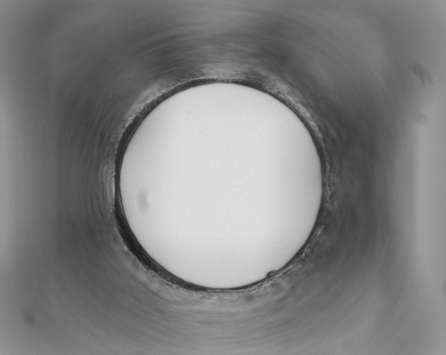 X0000111890011200908131705