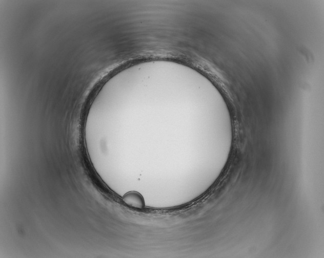 X0000111890012200908131705