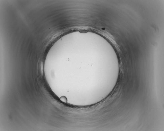 X0000111890013200908131705