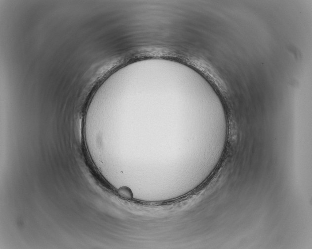 X0000111890014200908131705