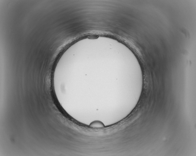 X0000111890015200908131705