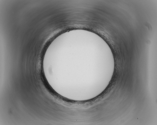 X0000111890016200908131705