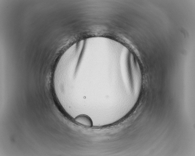 X0000111890018200908131705