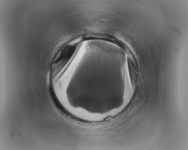 X0000111890019200908131705