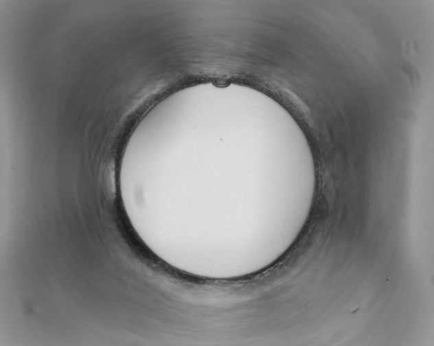 X0000111890020200908131705