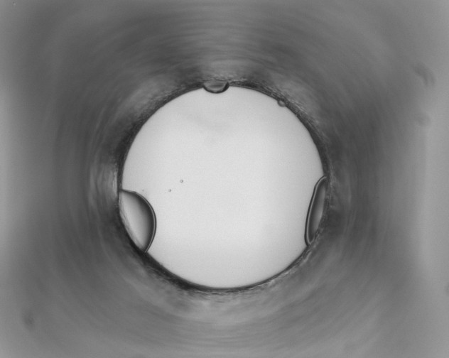 X0000111890021200908131705