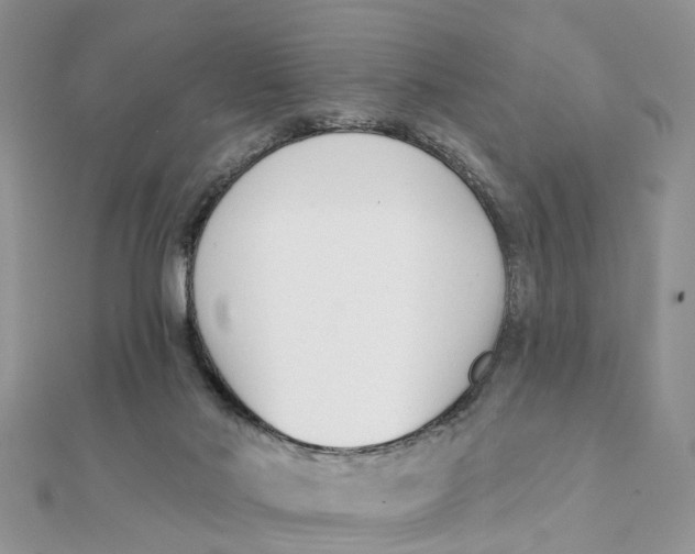 X0000111890022200908131705