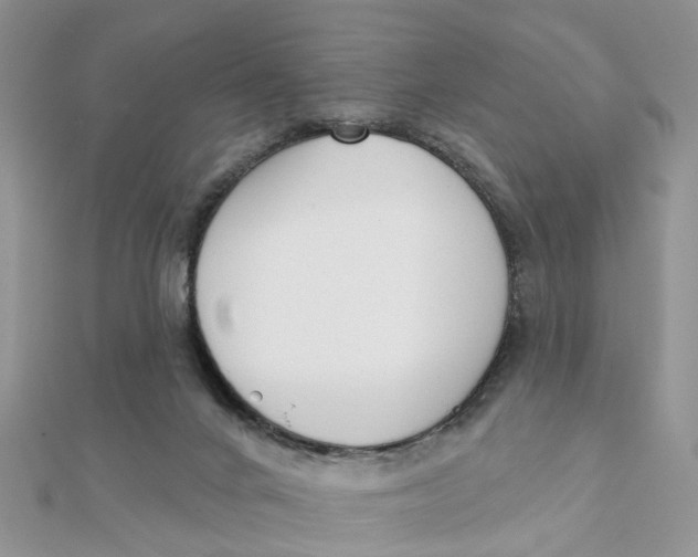 X0000111890024200908131705