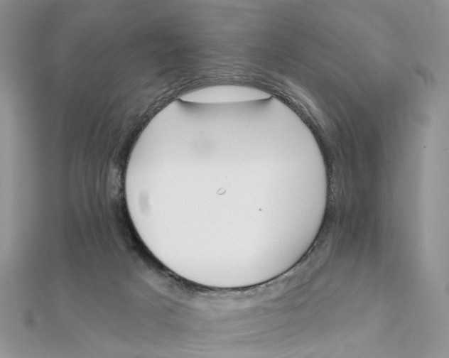 X0000111890025200908131705