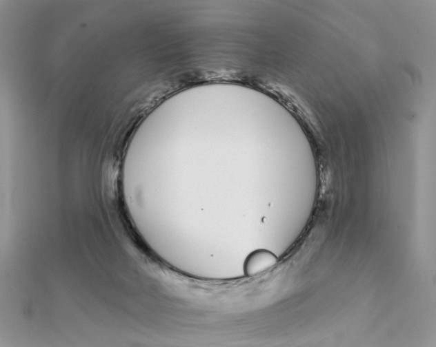 X0000111890026200908131705