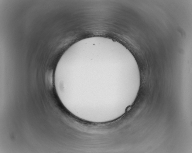 X0000111890028200908131705